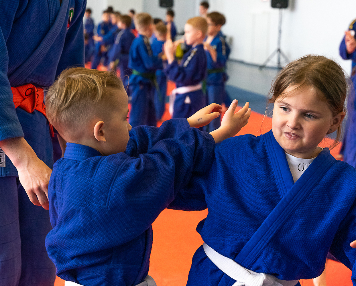 Правила поведения в школе айкидо Правила поведения в школе айкидо